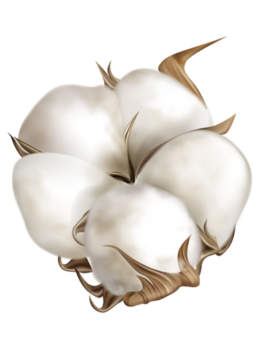 Pamuk Çırçırcılık